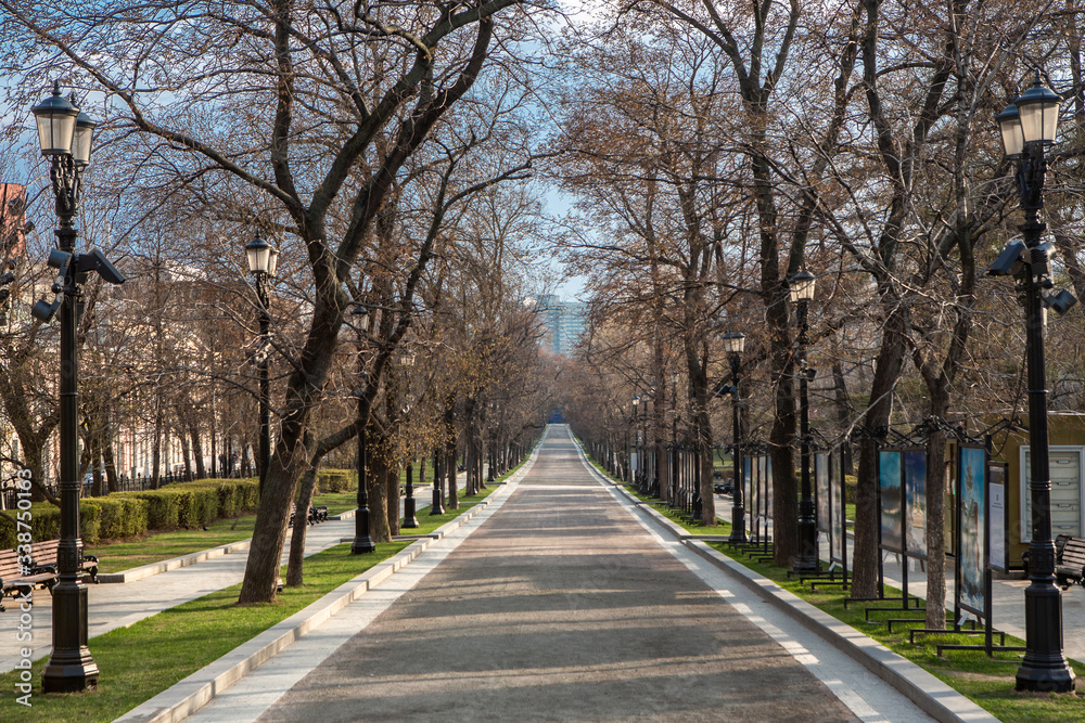 Park alley without people. Sunny spring day. Self-isolation in the city. Center of Moscow, Tverskaya Boulevard.