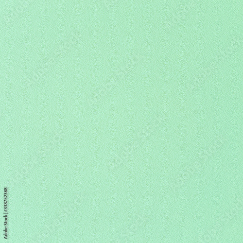 homogeneous green texture