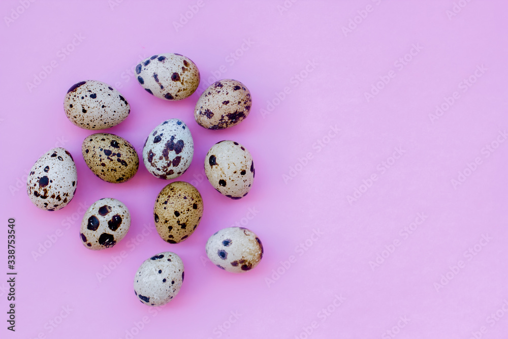 Set of eggs on the background