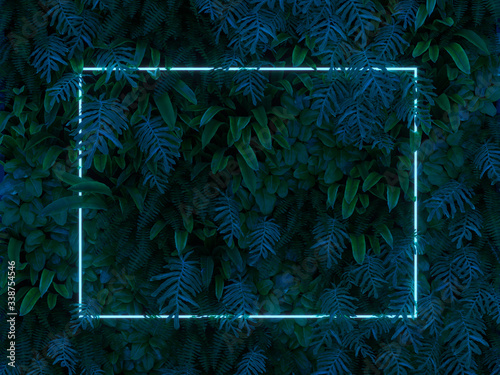 Fototapeta Naklejka Na Ścianę i Meble -  Plant with blue neon light frame 