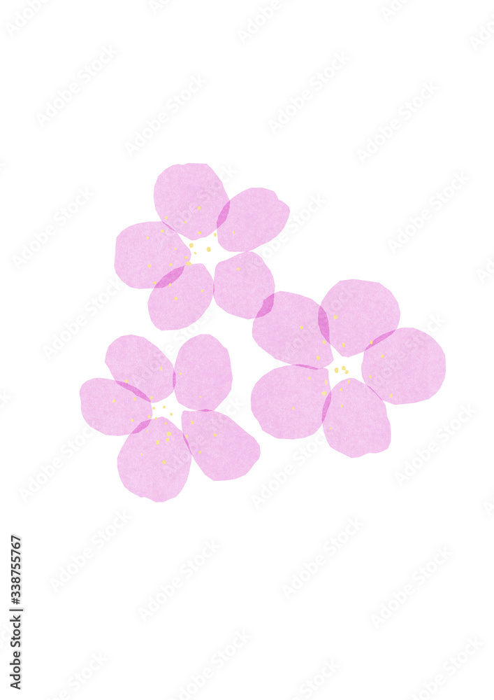 Hand drawn blooming tree flowers on the white background. Paper cutout imitation Plum blossom textured illustration. Seasonal naive spring card Hand drawn blooming tree flowers on the white background. Paper cutout imitation Plum blossom textured illustration. Seasonal naive spring card