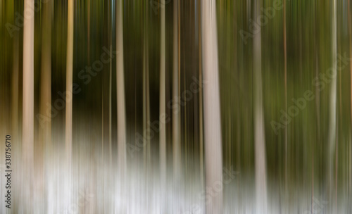 Abstract conceptual image for background and wall art. Motion blurred forest image for wallpaper use for example.