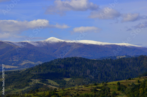  autumn forest in the mountains snow caps on the peaks