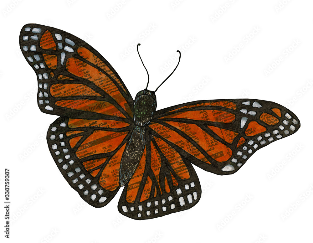 Fototapeta premium Orange large Monarch butterfly hand painted on newspaper cut out in retro style