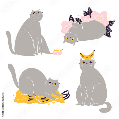 Cute british shorthair cat vector collection 3