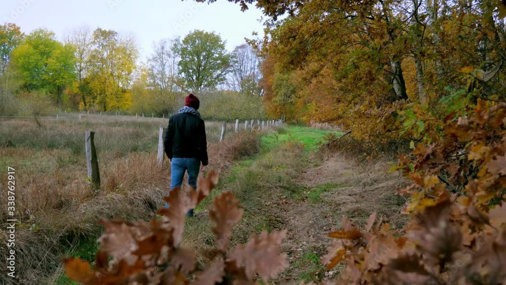 Fixed tripod shot of a person with bobble hat walking through an autumn forest Fixed tripod shot of a person with bobble hat walking through an autumn forest