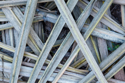 Dry sugarcane leaves background image