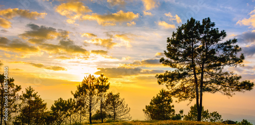 Colorful and dramatic sunrise sky scene with tree in forest.