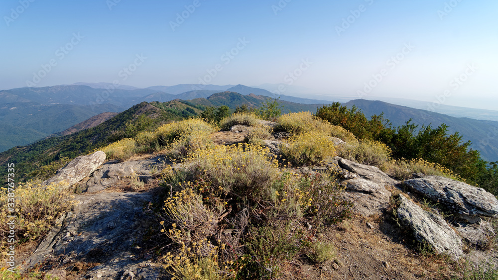 Hiking path to the top of the Costa verde mountain in Upper corsica island Hiking path to the top of the Costa verde mountain in Upper corsica island