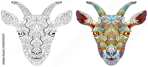 Zentangle goat head. Hand drawn decorative vector illustration for coloring. Color and outline set