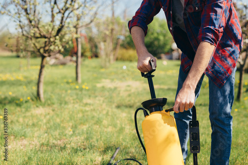 Man hand spraying blooming tree in orchard with garden bottle aerosol against pest