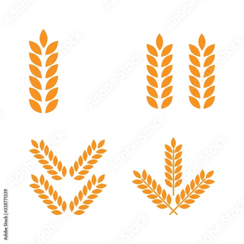 Agriculture wheat vector graphic design template isolated