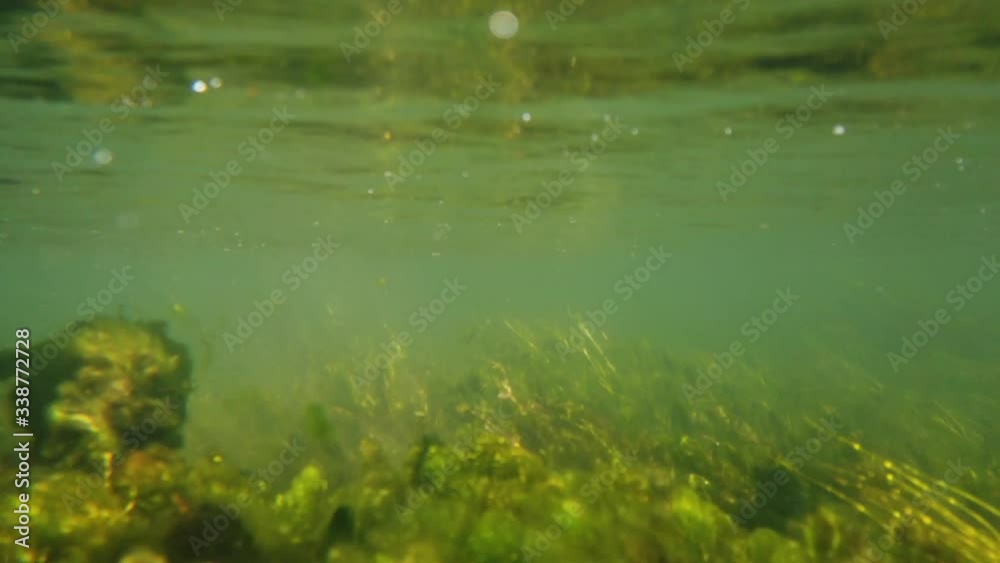 Under water shot of paddles seen moving through a river. Kelp is seen moving through the water with bubbles floating to the top. Under water shot of paddles seen moving through a river. Kelp is seen moving through the water with bubbles floating to the top.
