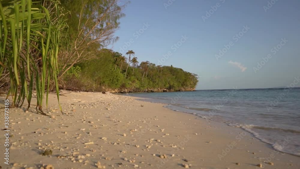 A deserted beach on a tropical island