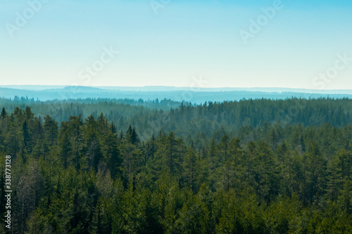 Beautiful landscape with forest in the national park Repovesi, Finland