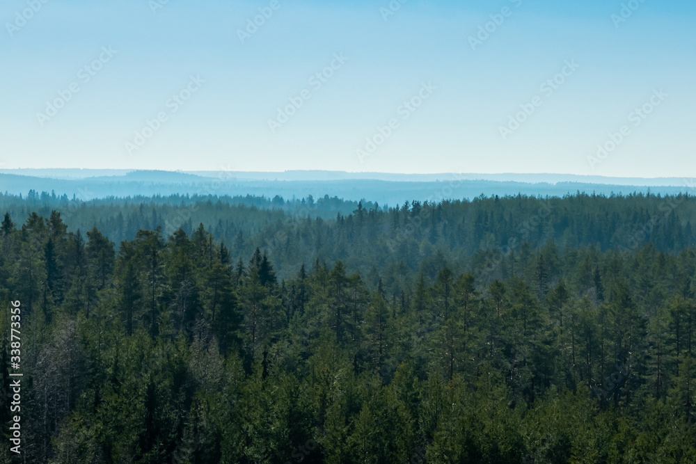 Beautiful landscape with forest in the national park Repovesi, Finland