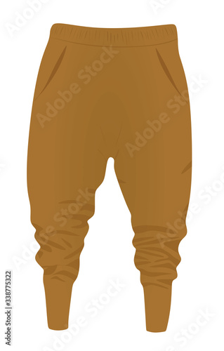 Brown harem pants. vector illustration