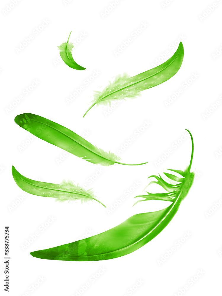 Beautiful color feathers isolated on white background Beautiful color feathers isolated on white background