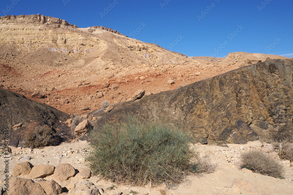The desert landscape with the multicolor sandstone and magmatic rocks, the big green shrub on foreground, the clean blue sky 