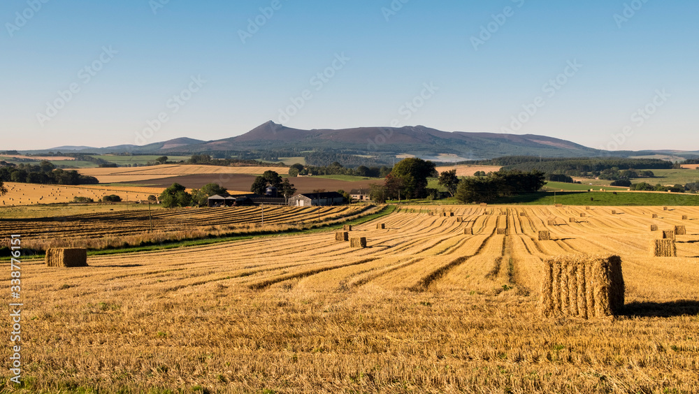 Bennachie Harvest View