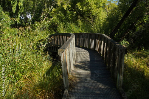 Lake Hayes Walkway at Lake Hayes near Arrowtown in Otago on South Island of New Zealand 