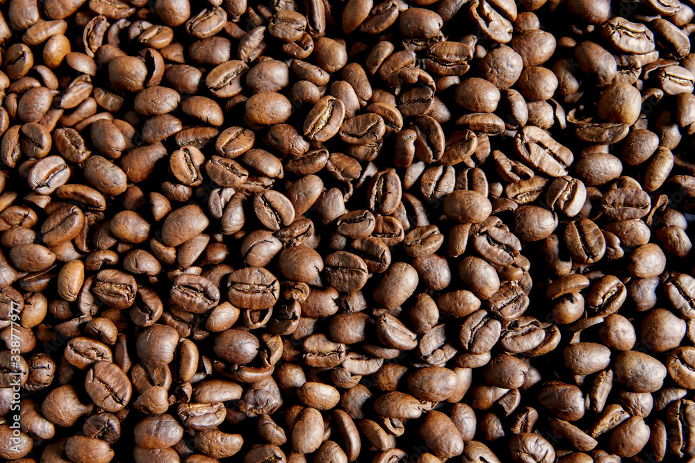 Fototapeta premium Fresh roasted coffee beans, background texture concept
