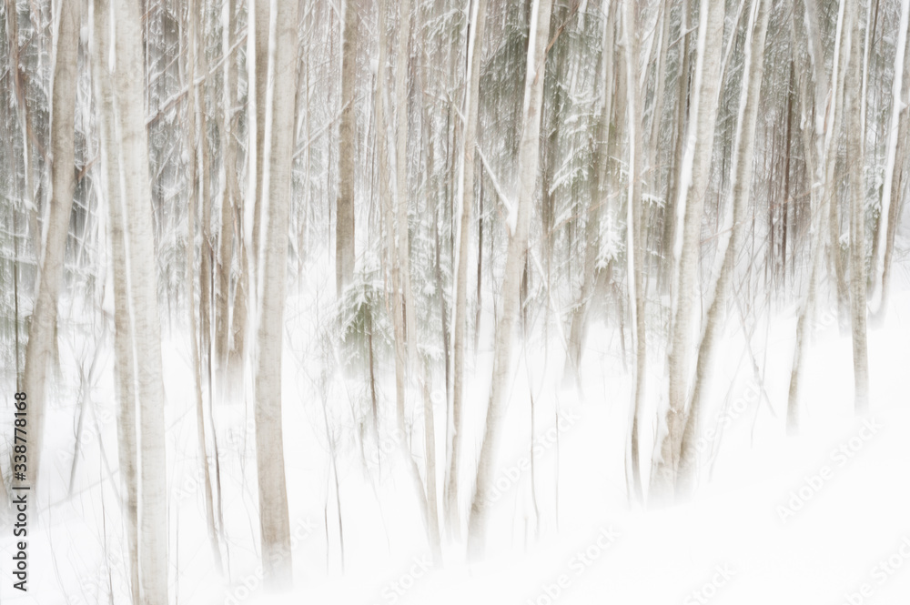 ICM lanscape photography