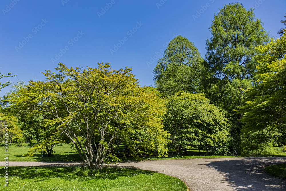 Paris public park Vallee-aux-Loups. Located in the heart of Val d'Aulnay in Chatenay-Malabry, the Vallee-aux-Loups Park is a set of parks and gardens of 56 hectares. Paris, France.