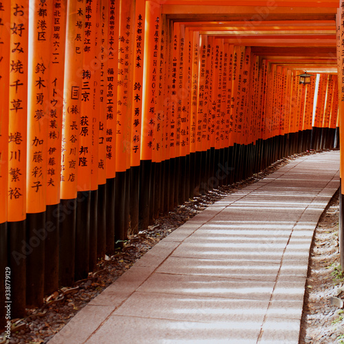 Typical orange and black toris at Fushimi Inari Taisha 