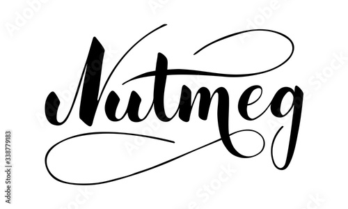 Vector hand written nutmeg text isolated on white background. Kitchen healthy herbs and spices for cooking. Script brushpen lettering with flourishes. Handwriting for banner, poster, product label