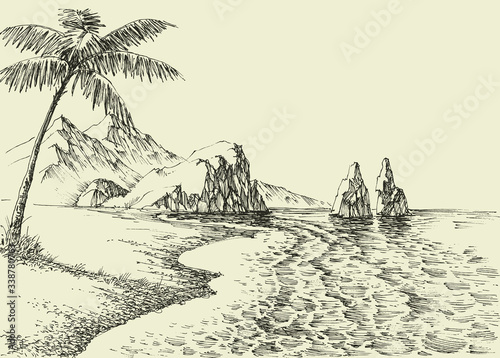 Hand drawing of a beach, palm trees and rocky seashore