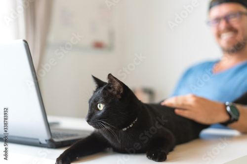 freelancer guy with laptop and cat  working at home in quarantine to coronavirus infection