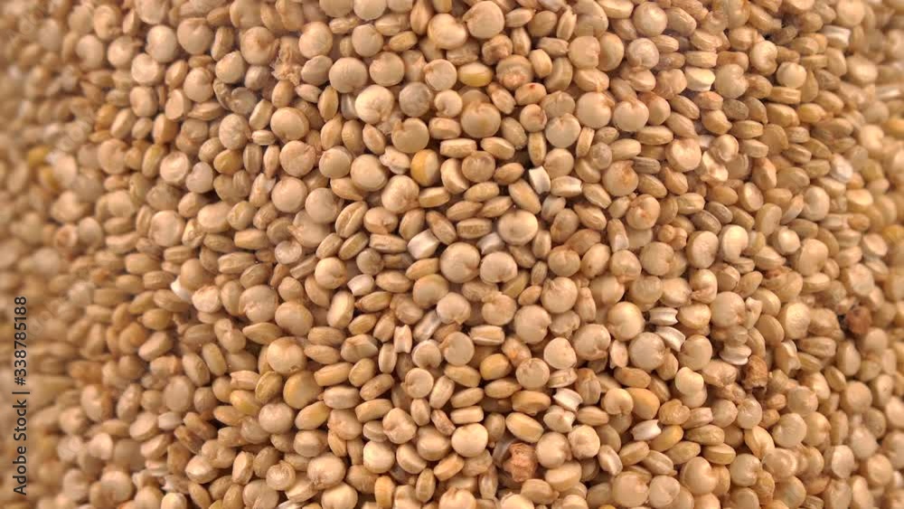 Quinoa Seeds inside a Rotating Jar. Macro view of healthy gluten-free cereal Quinoa Seeds inside a Rotating Jar. Macro view of healthy gluten-free cereal