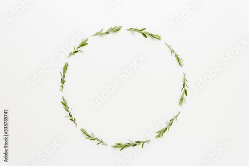 Minimal style photography. Branch circle , natural creative composition top view background with copy space for your text. Flat lay.