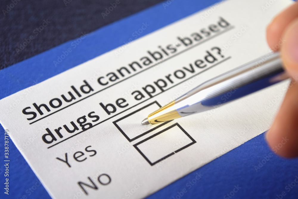 One person is answering question about cannabis-based drugs. One person is answering question about cannabis-based drugs.