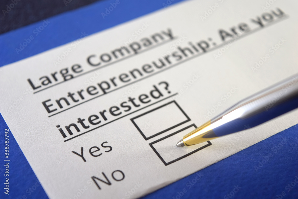 One person is answering question about large company entrepreneurship. One person is answering question about large company entrepreneurship.
