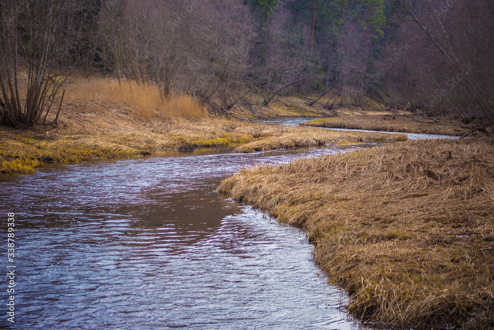 Beautiful landscape with a small river flows through the forest. Early spring time, bright sunny day Beautiful landscape with a small river flows through the forest. Early spring time, bright sunny day