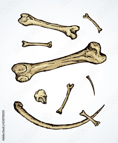 Series of vector illustrations of archaeological finds. Animal bones and fish hooks from bone