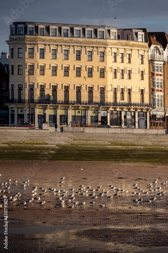 birds and building on Margate seafront photo