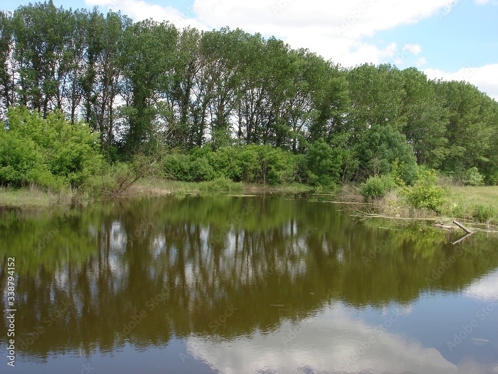 Beautiful marshland river summer day. Beautiful marshland river summer day.
