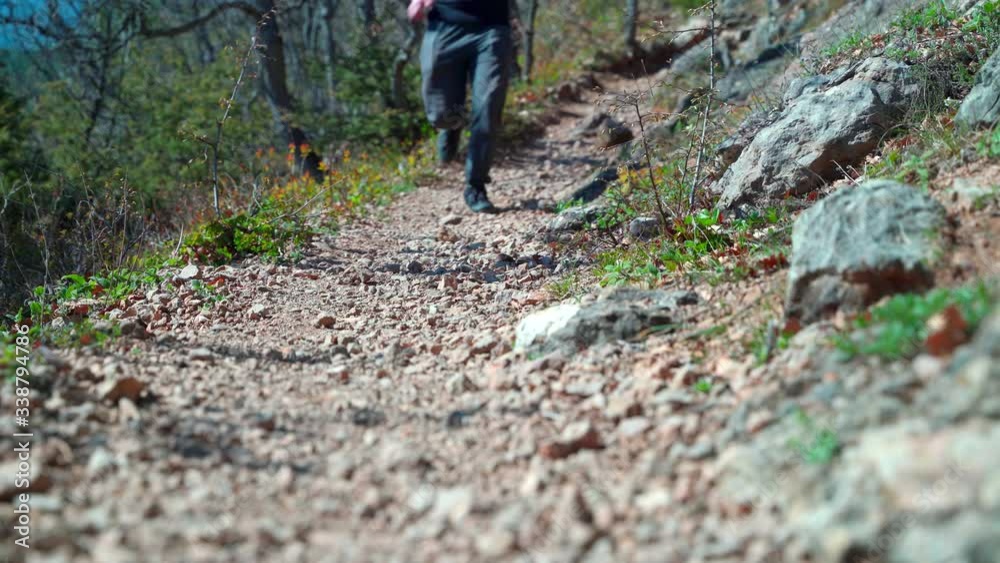 Legs of a man in sneakers running along a footpath in the forest Legs of a man in sneakers running along a footpath in the forest
