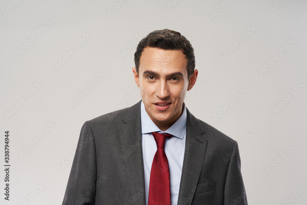 portrait of a handsome businessman portrait of a handsome businessman