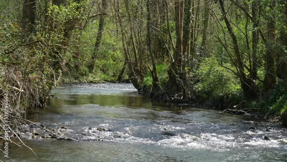 view of a river in spring