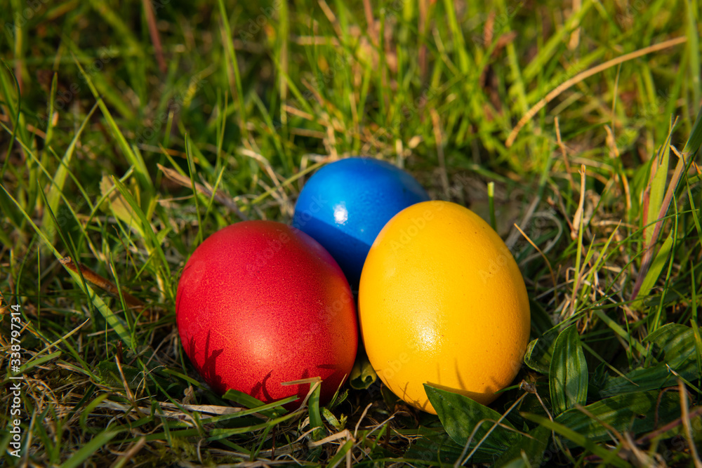 Three easter eggs lying in the meadow