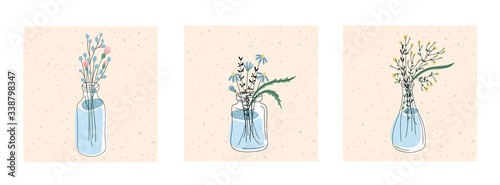 Set of flowers, branches and leaves in a bottles. Romantic concept with herbs. Minimalistic botanical illustration for your creativity. Vector illustration on white background.