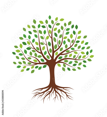 Tree with green leaves and roots. Isolated on white background. Flat style, vector illustration. 