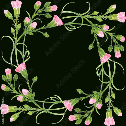 Carnation flowers on a dark background. Seamless background. Branches with buds and leaves. Botanical watercolor. Use printed materials, signs, objects, sites, maps, posters, postcards, packaging.
