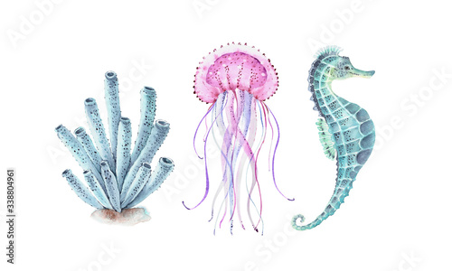 set of watercolor illustrations sea inhabitants, seahorse, jellyfish, coral 