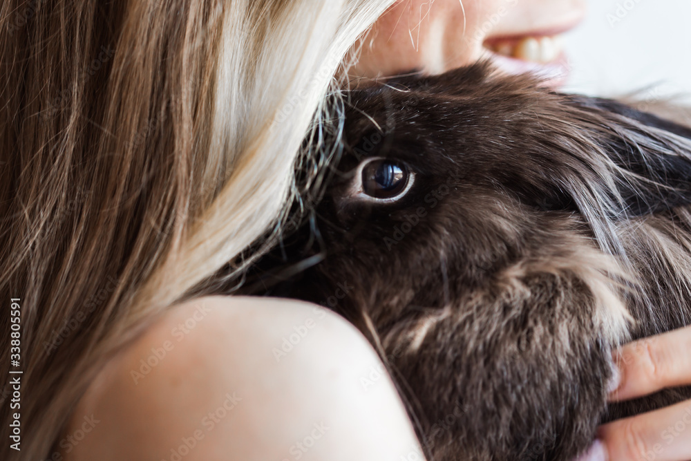 Pet and Easter concept - Attractive girl hugging brown rabbit at home, close-up. Pet and Easter concept - Attractive girl hugging brown rabbit at home, close-up.