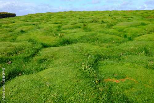 A very particular Irish meadow in Downpatrick Head.